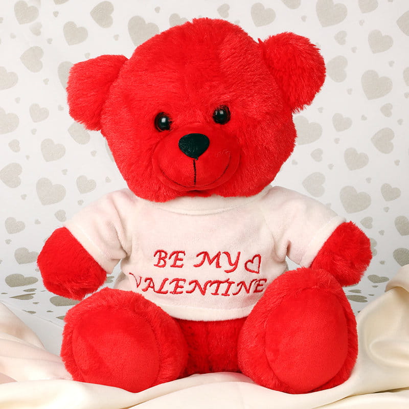 Teddy For Valentine