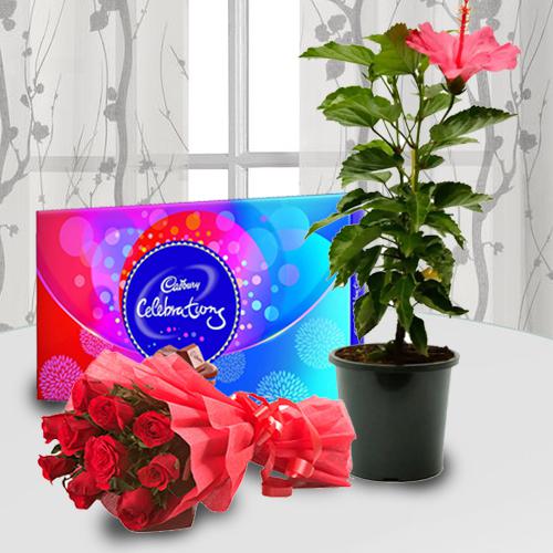 Perfect Pairings: Flowers, Chocolate & Plants