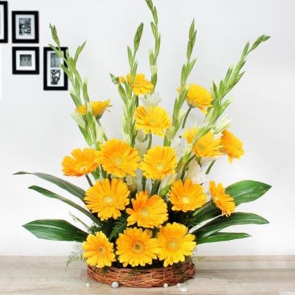 Gerberas