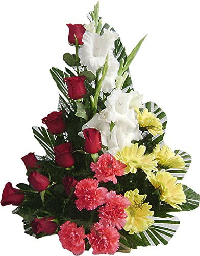 Gladiola