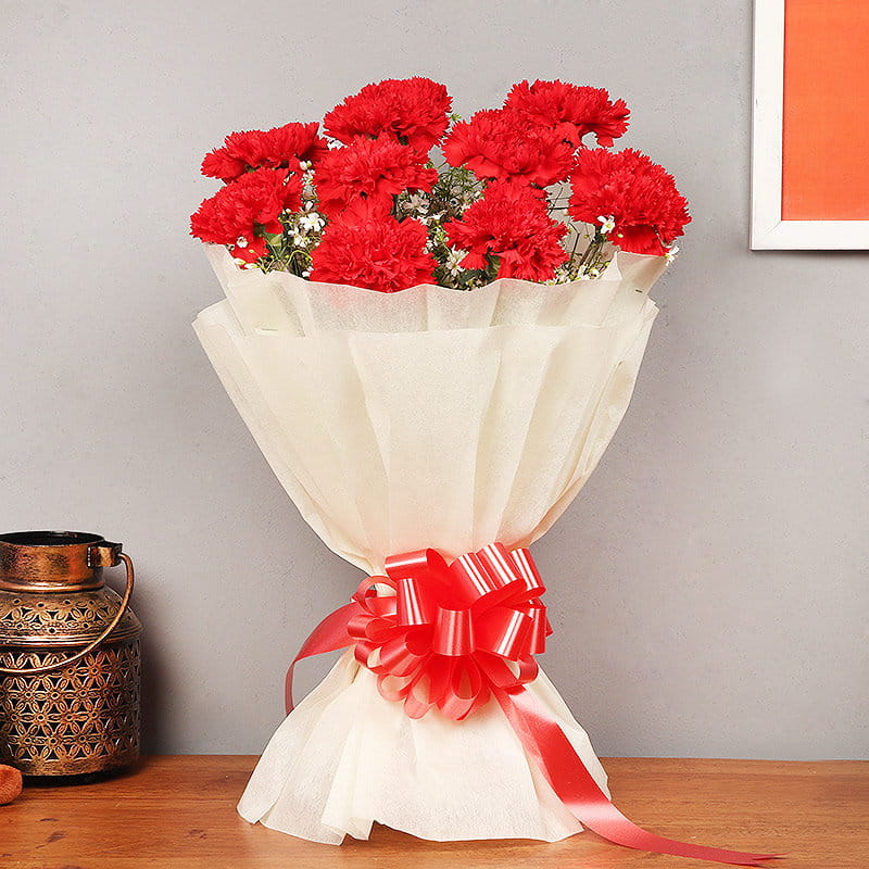 Joyful Carnation