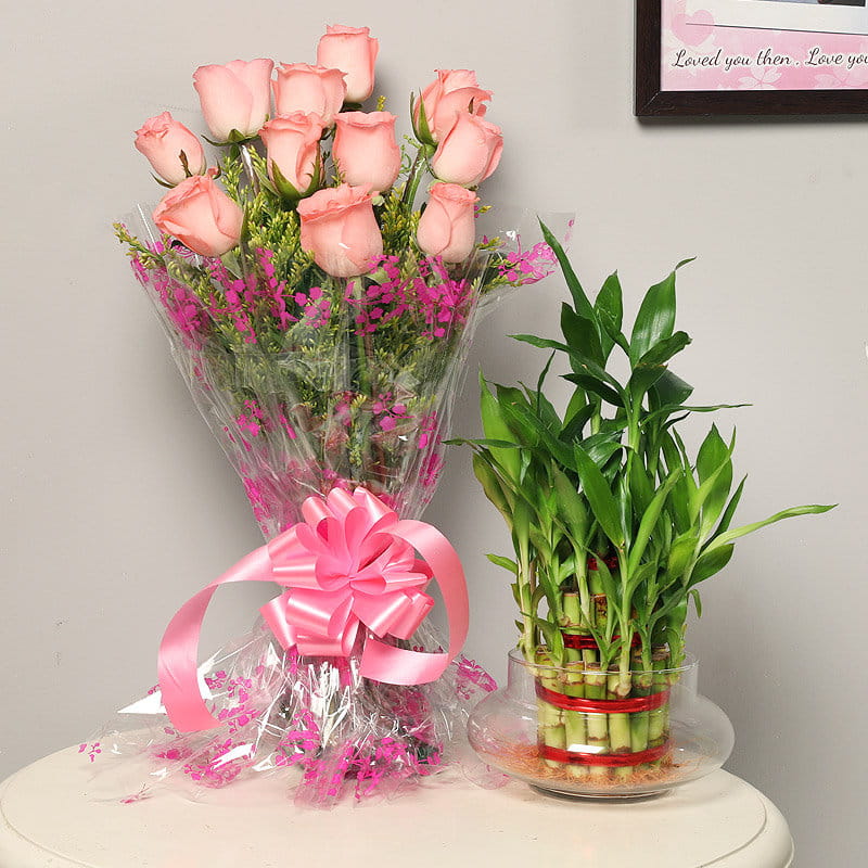 Flowers & Plants