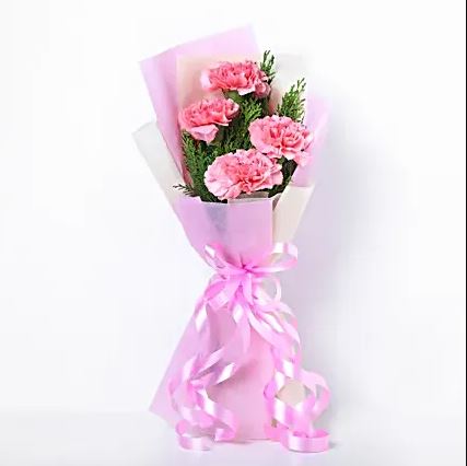 Soft & Lovely Carnation Bunch (4 Stems) 🌸💖